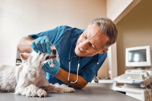 Best Emergency Root Canal Treatment in Valley Cottage, NY